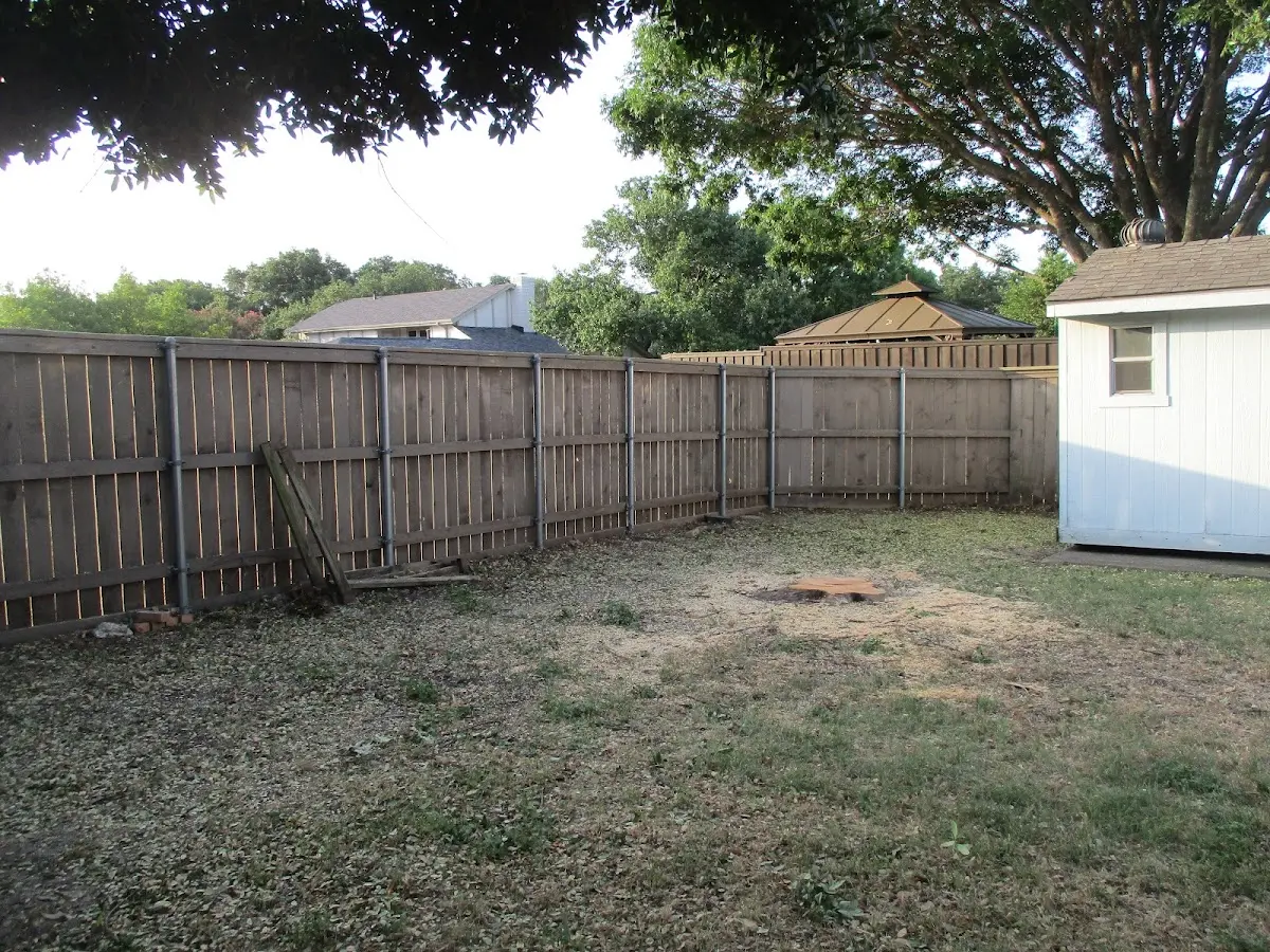 Cleared yard after professional tree removal in Lancaster